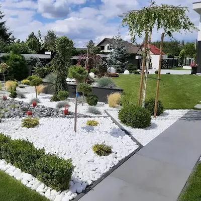 Wizja Zieleni Joanna Greś-Szkudlarek